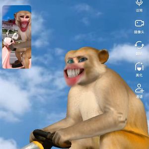 偏宠