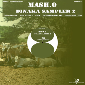 Dikgomo (Cows)