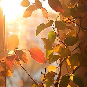 总有你鼓励 (粤语版)