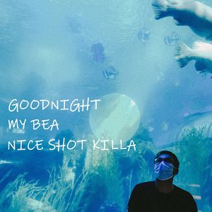 goodnight,my bea（Prod.By Nz-seven）