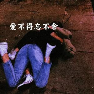 爱不得忘不舍