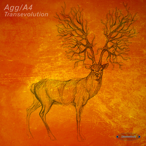 Transevolution (Original Mix)