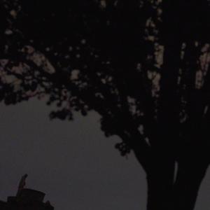 Lamia (You Know What You Did)