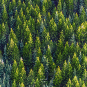 지금 이대로도 괜찮아 (Inst.)