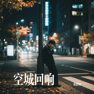 空城回响