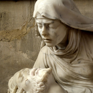 限りある人生に