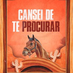 Cansei de Te Procurar