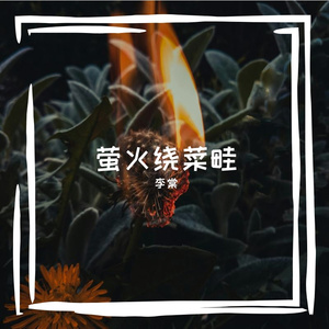萤火绕氛围