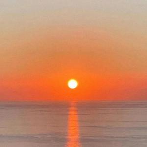 成都（抖音吉他版）