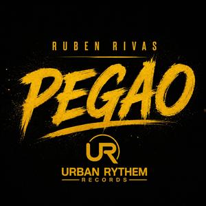 pegao (Radio Edit)