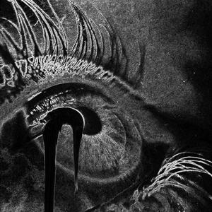 Ops (feat. N8F & ilyaugust)