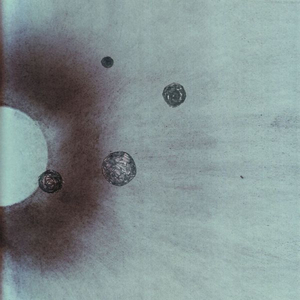 Heaven Raw (Original Mix)