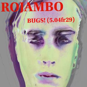 BUGS! (5.04fr29)