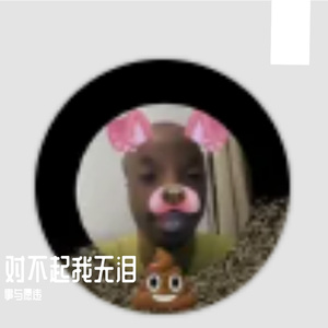 对不起我无泪