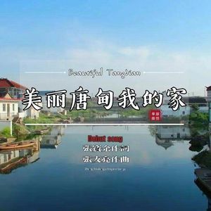 美丽唐甸我的家