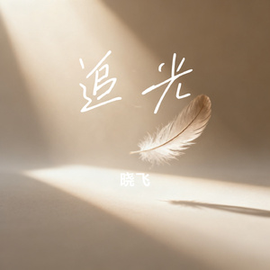 追光