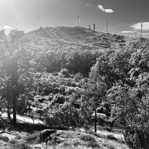 The Valley