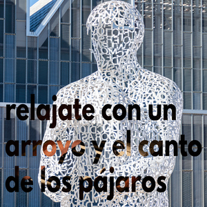 Musica Relajante Tranquila