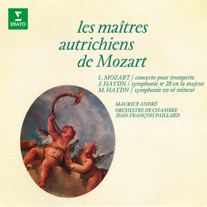 Symphony No. 29 in D Minor, Op. 1 No. 3, P. 20:I. Allegro brillante