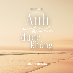 Anh Có Hiểu Được Không (Trngz Remix)