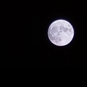 我的美丽 rap cover小霞