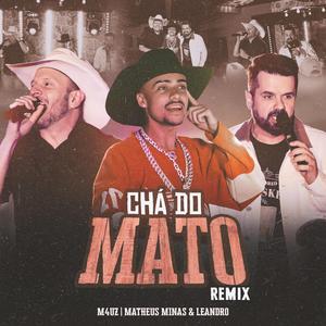 Chá do Mato (feat. Matheus Minas e Leandro) (Remix)