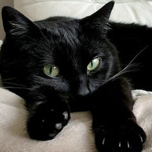 P.R. All Stars (slowed)