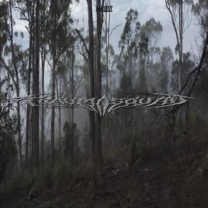 I LOVE THE RAIN BECAUSE I GET TO STAY INSIDE