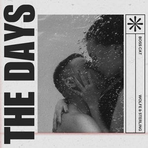The Days (Slowed)