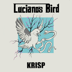Lucianos Bird