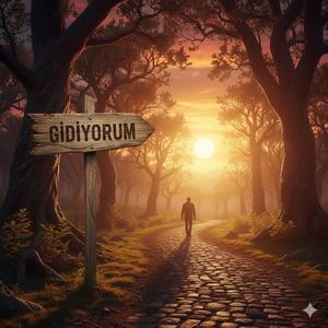 Gidiyorum