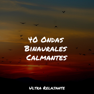 Sonidos De Centrado