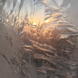 雪痕年轮