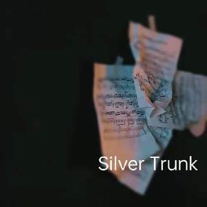SILVER TRUNK