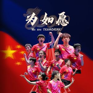 为如愿（群像版）