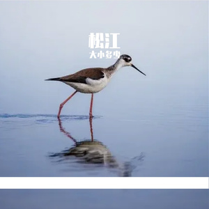 旅途上还有风雨和泥泞