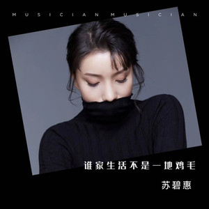 谁家生活不是一地鸡毛 (伴奏)