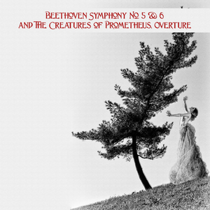 Symphony No. 5 in C Minor, Op. 67: I. Allegro con brio