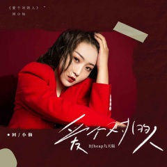 爱个对的人 (DJheap九天版)