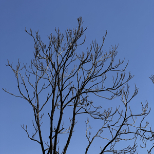 黄昏晚风里的自我和解