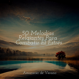 Arreglando Melodías