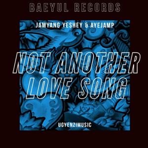 Not Another Love Song (feat. Ayejamp)
