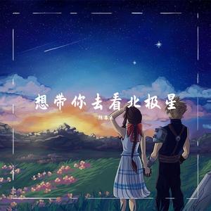 想带你去看北极星