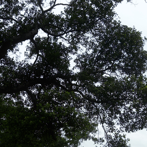 想念的代价是持续不断的钝痛