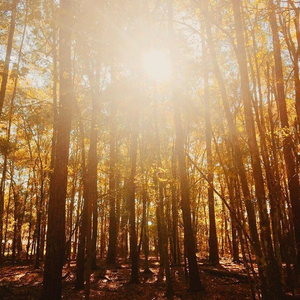 Changing Colors (prod. Universal)