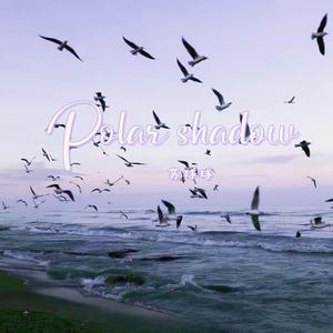 Sanction（制裁）