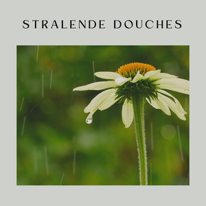 Melodische regengeluiden voor vrede en ruste, Pt. 7