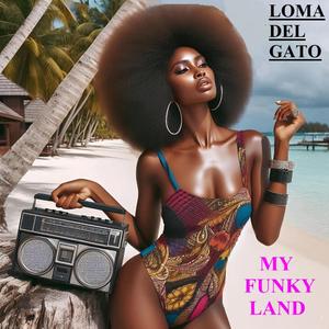 My Funky Land