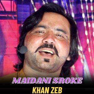 Maidani Sroke