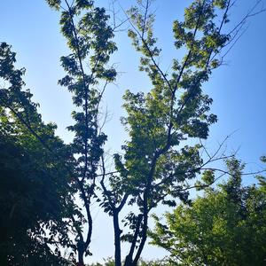 你过来（翻自 棱镜）